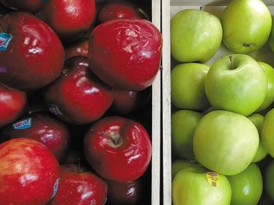 廣州:蘋果價格漲到十年高位 廣州:蘋果價格漲到十年高位